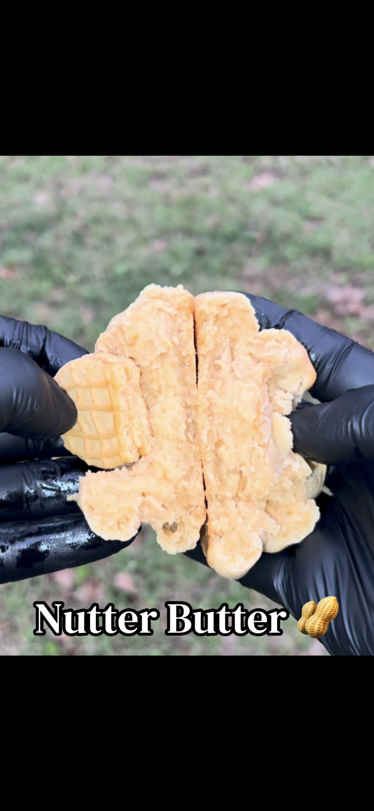 Nutter Butter